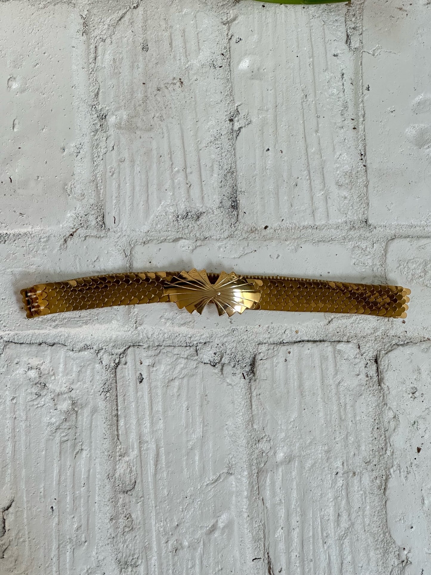 Gold Fish Scale Belt