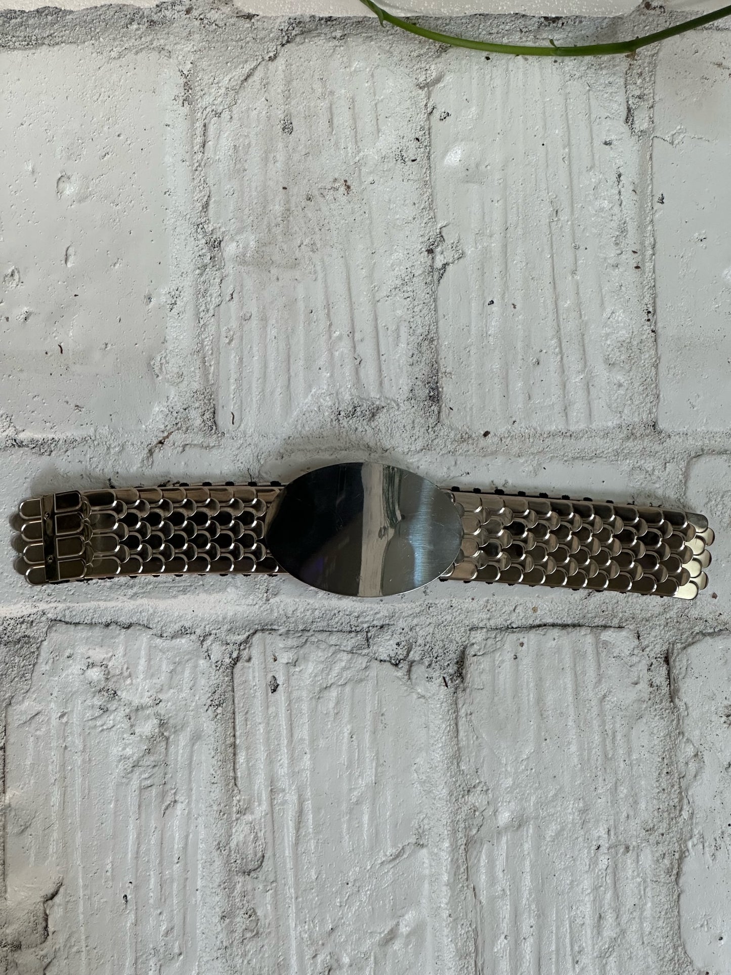 Silver Fish Scale Belt