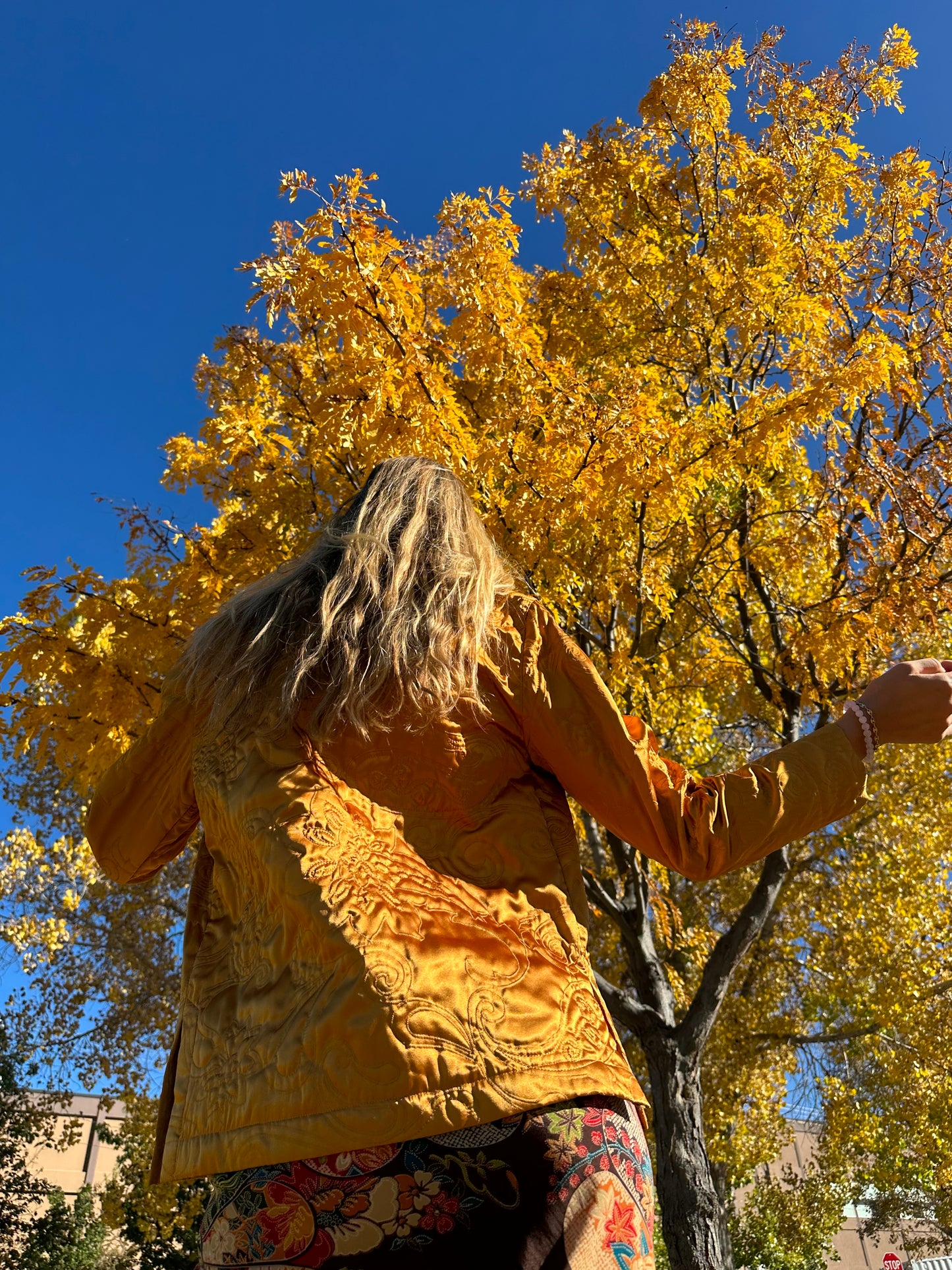Gold Embroidered Jacket